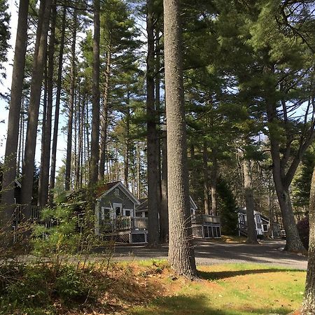 Pine Grove Cottages Lincolnville Esterno foto