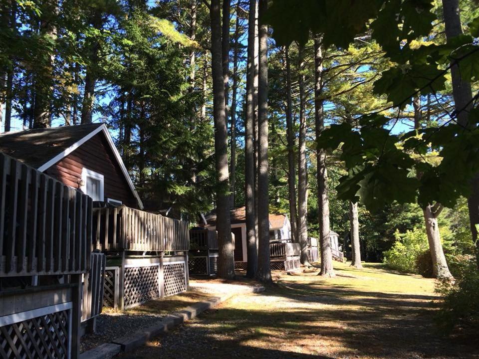 Pine Grove Cottages Lincolnville Esterno foto