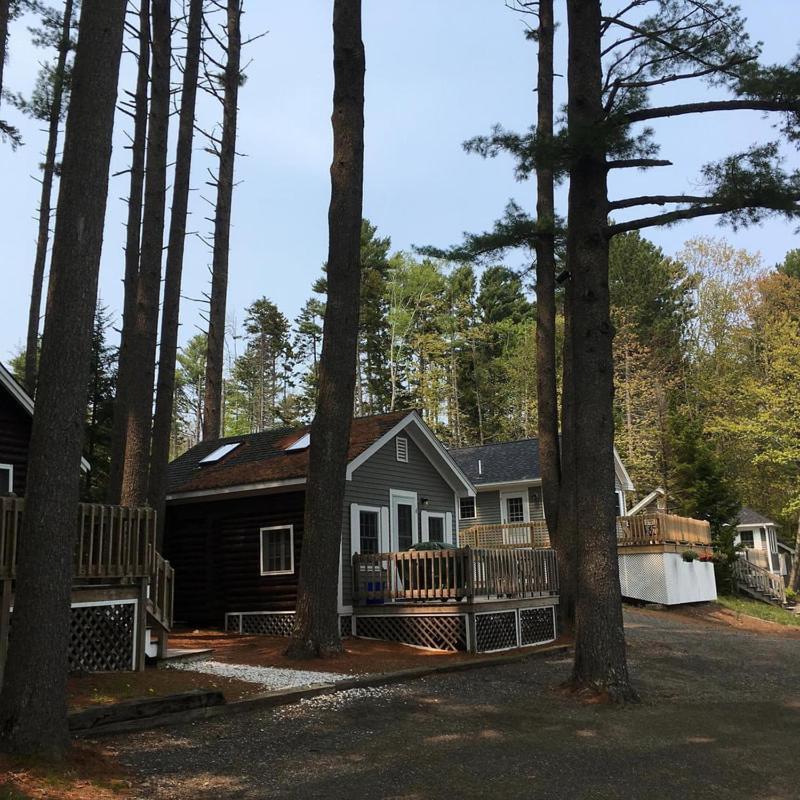 Pine Grove Cottages Lincolnville Esterno foto